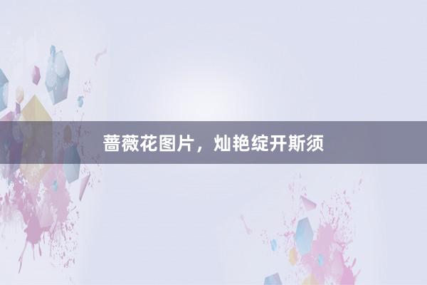 蔷薇花图片，灿艳绽开斯须