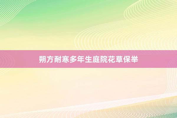 朔方耐寒多年生庭院花草保举