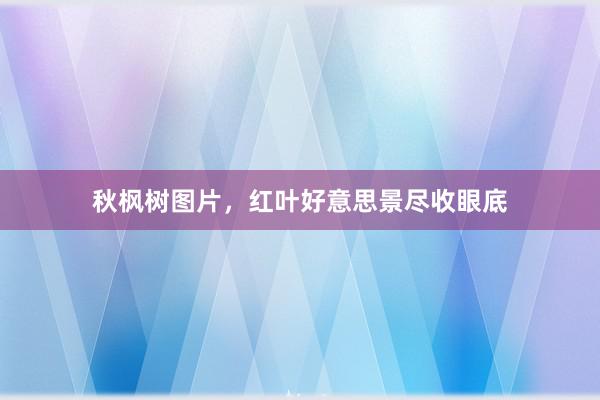 秋枫树图片，红叶好意思景尽收眼底