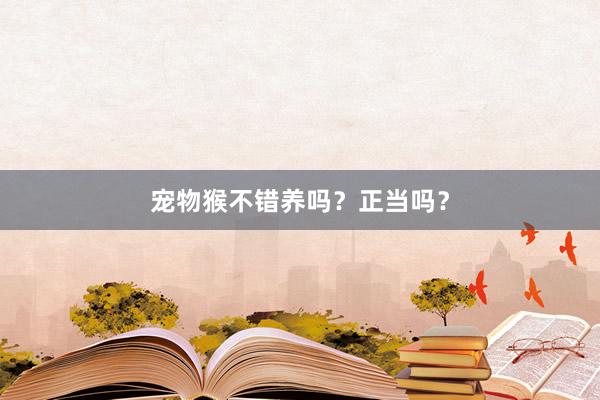 宠物猴不错养吗？正当吗？