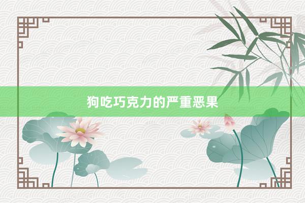 狗吃巧克力的严重恶果