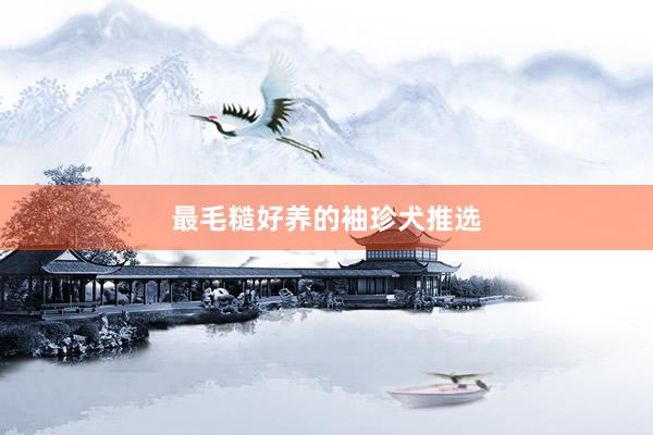 最毛糙好养的袖珍犬推选